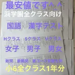 2026年最新】浜学園 復習テスト 小5の人気アイテム - メルカリ