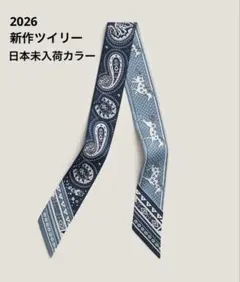 2026年最新】新作ツイリーの人気アイテム - メルカリ