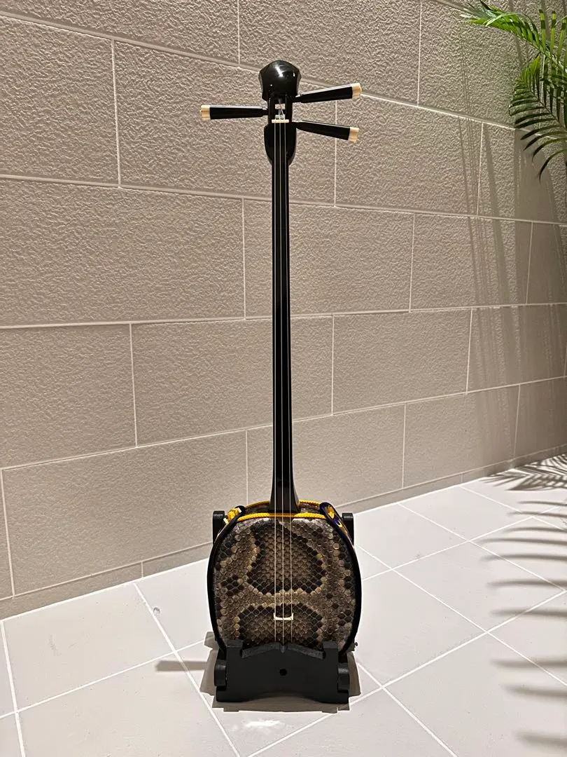 2026年最新】三線チーガの人気アイテム - メルカリ