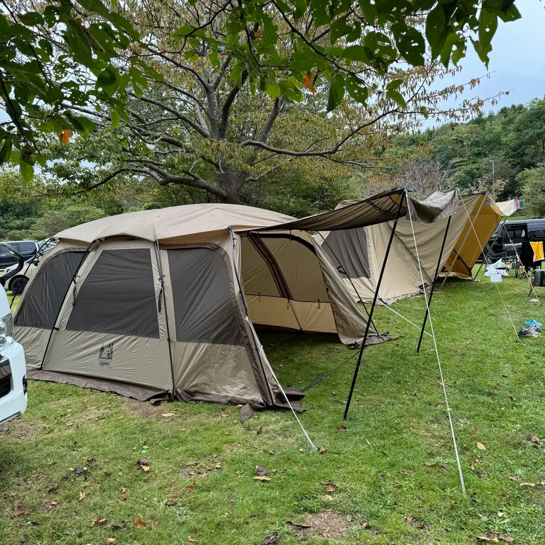 2026年最新】ファシル グランドマットの人気アイテム - メルカリ