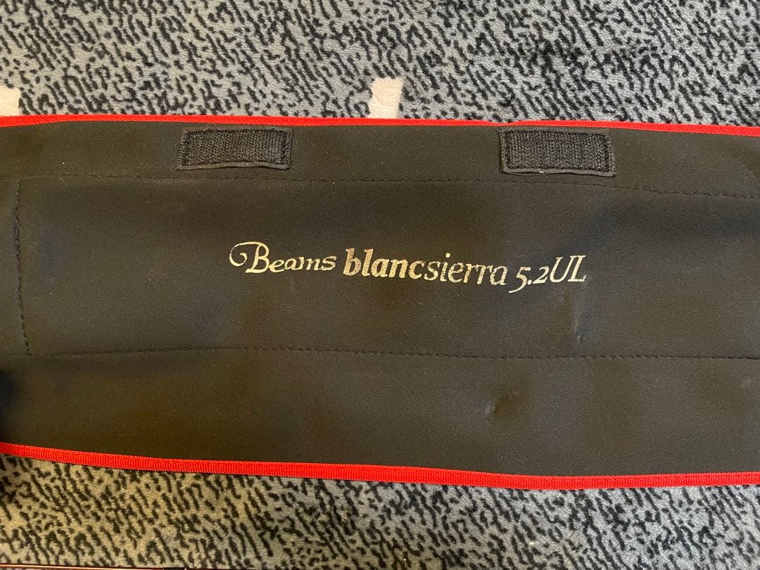 フィッシュマン beams blancsierra 5.2UL