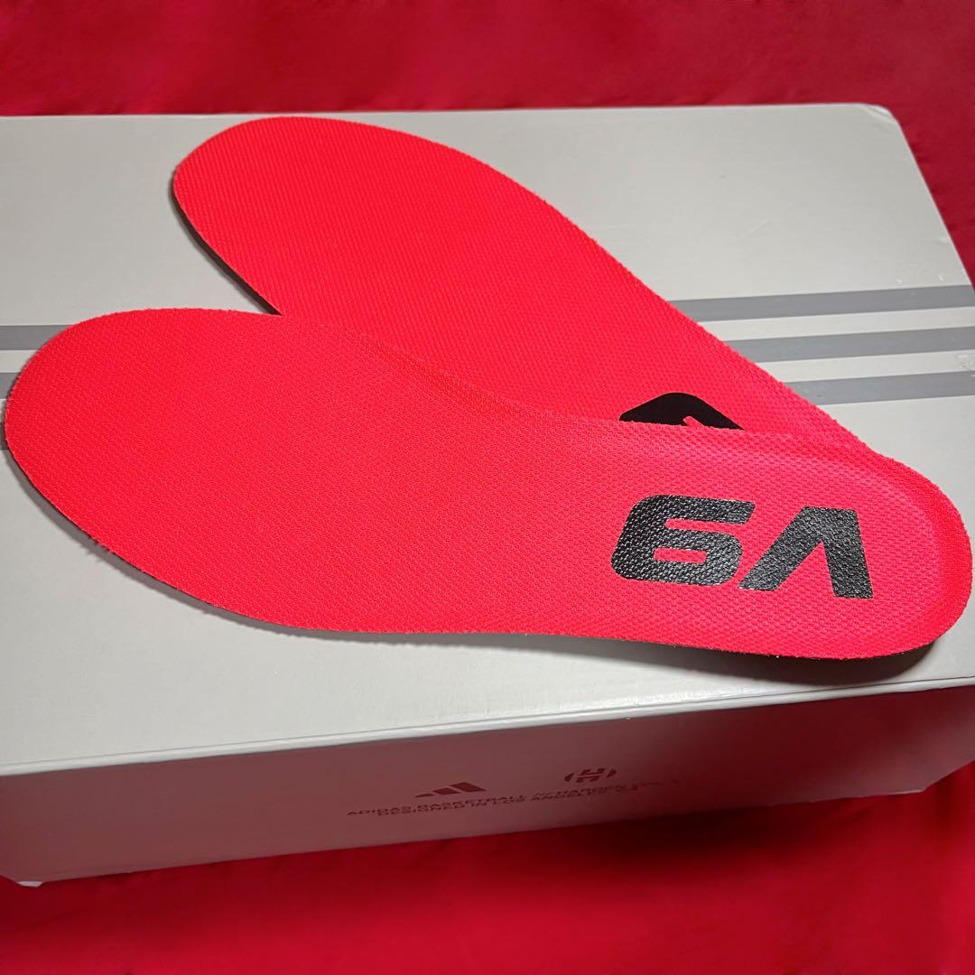 HARDEN VOLUME 9 ハーデン バッシュ 26.0cm