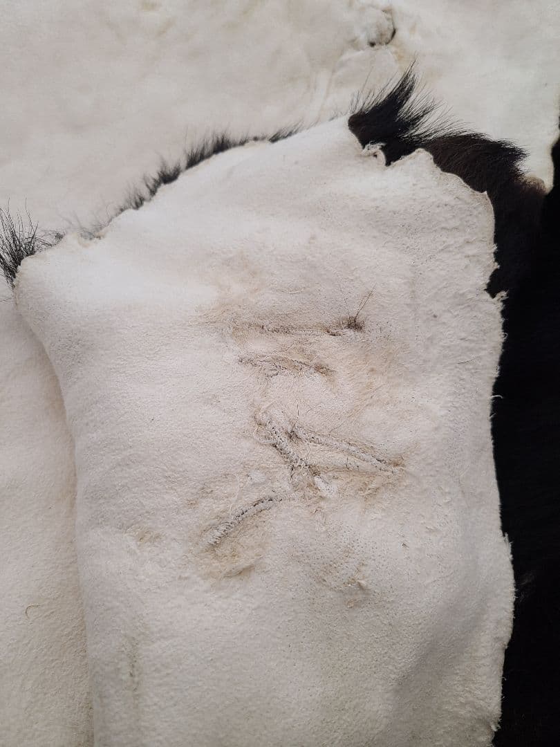 ツキノワグマ毛皮 - メルカリ