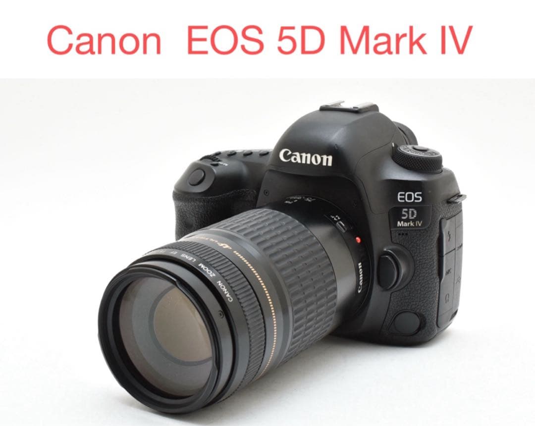 Canon EOS 5D Mark IV望遠レンズセット/EF 75-300mm