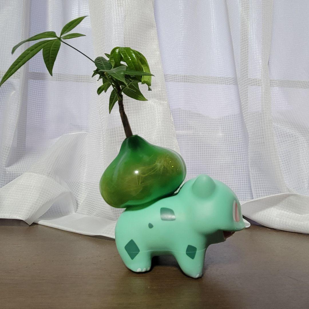 フシギダネ 植木鉢 パキラ ハンドメイド - メルカリ