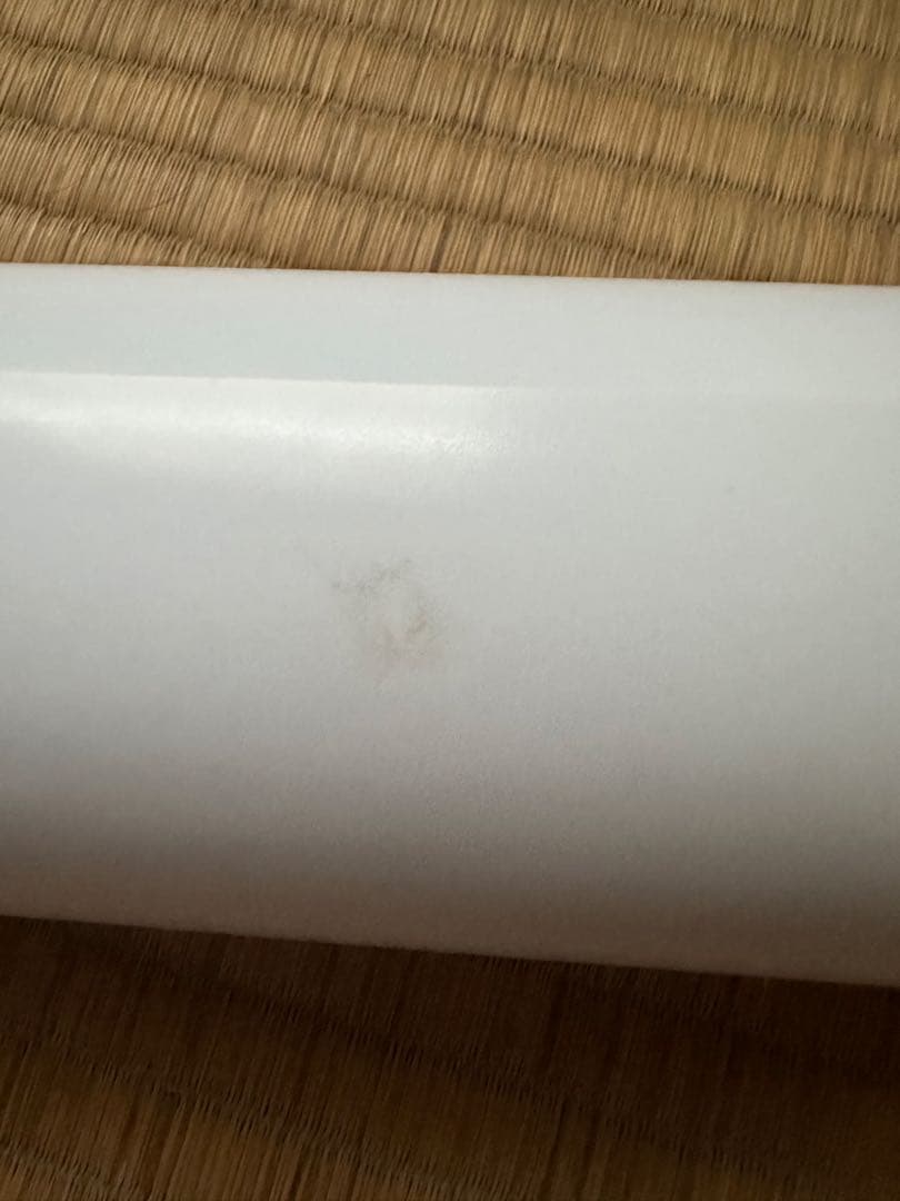 森咲智美 等身大ポスター エンタメ スケスケ下着で(？）挑発