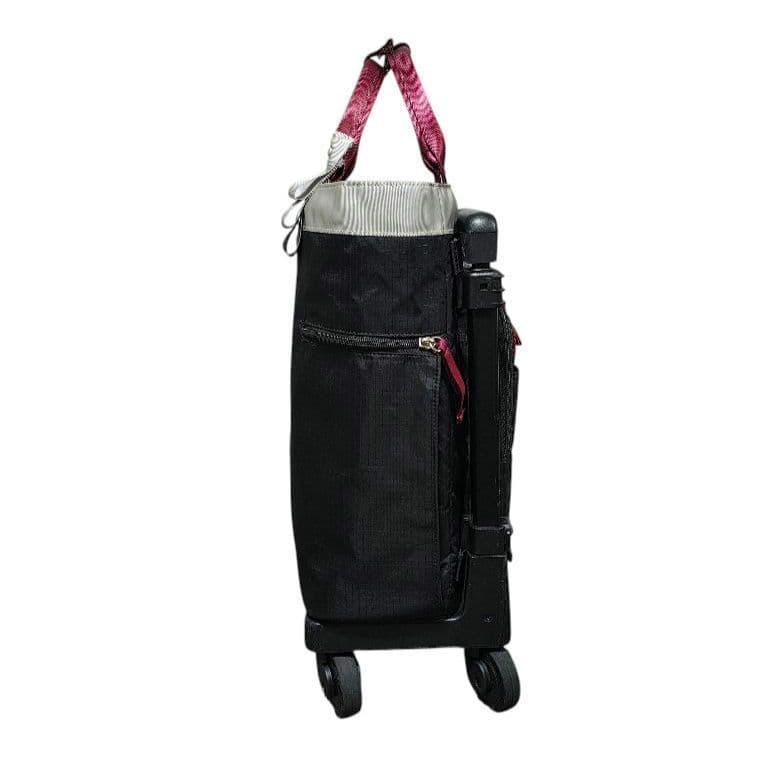 SWANY スワニー イナ 14L ソフトキャリーバッグ ショッピングカート