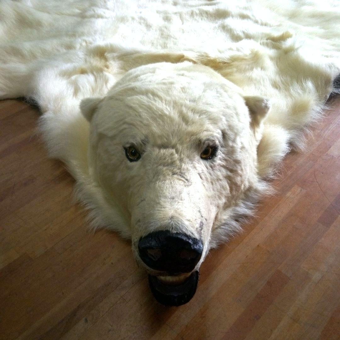 白熊 ラグ - メルカリ