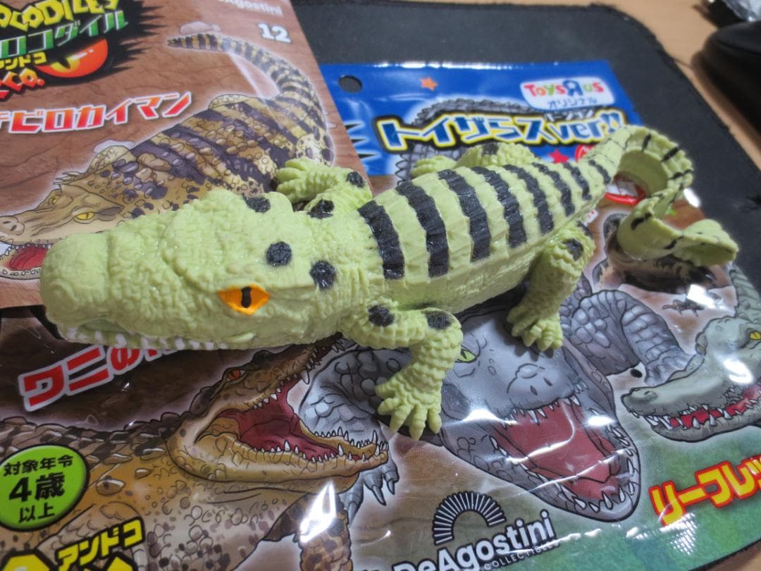 トイザらス限定 クロコダイル&Co.アンドコ クチビロカイマン 鰐 ワニ