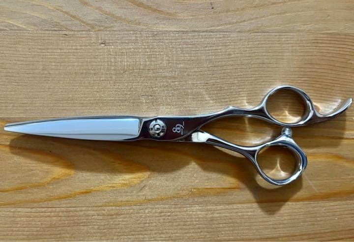 新品未使用 5.8インチ シザー 笹刃 ベアリング L108978378 - その他安価