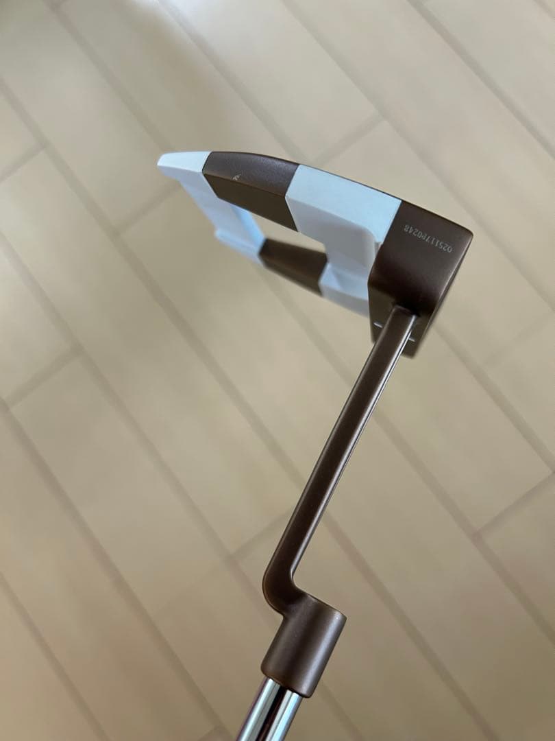 オデッセイ Ai-ONE ジラフビーム ジェイルバードミニ 34