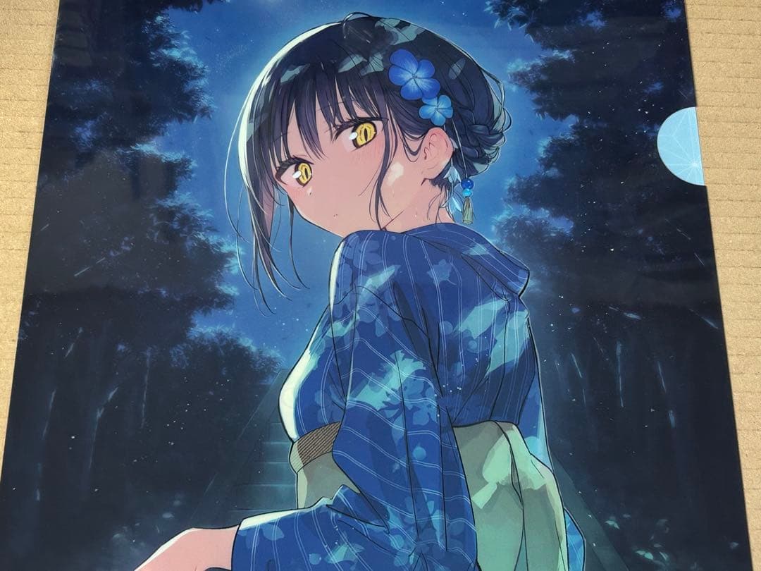 現地販売限定エラー品 FGO fes 2025 album