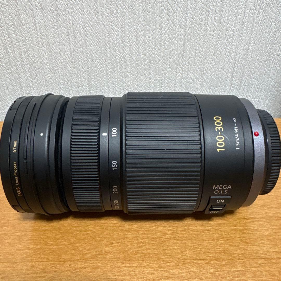 Panasonic LUMIX100-300mm F4.0-5.6 ズームレンズ