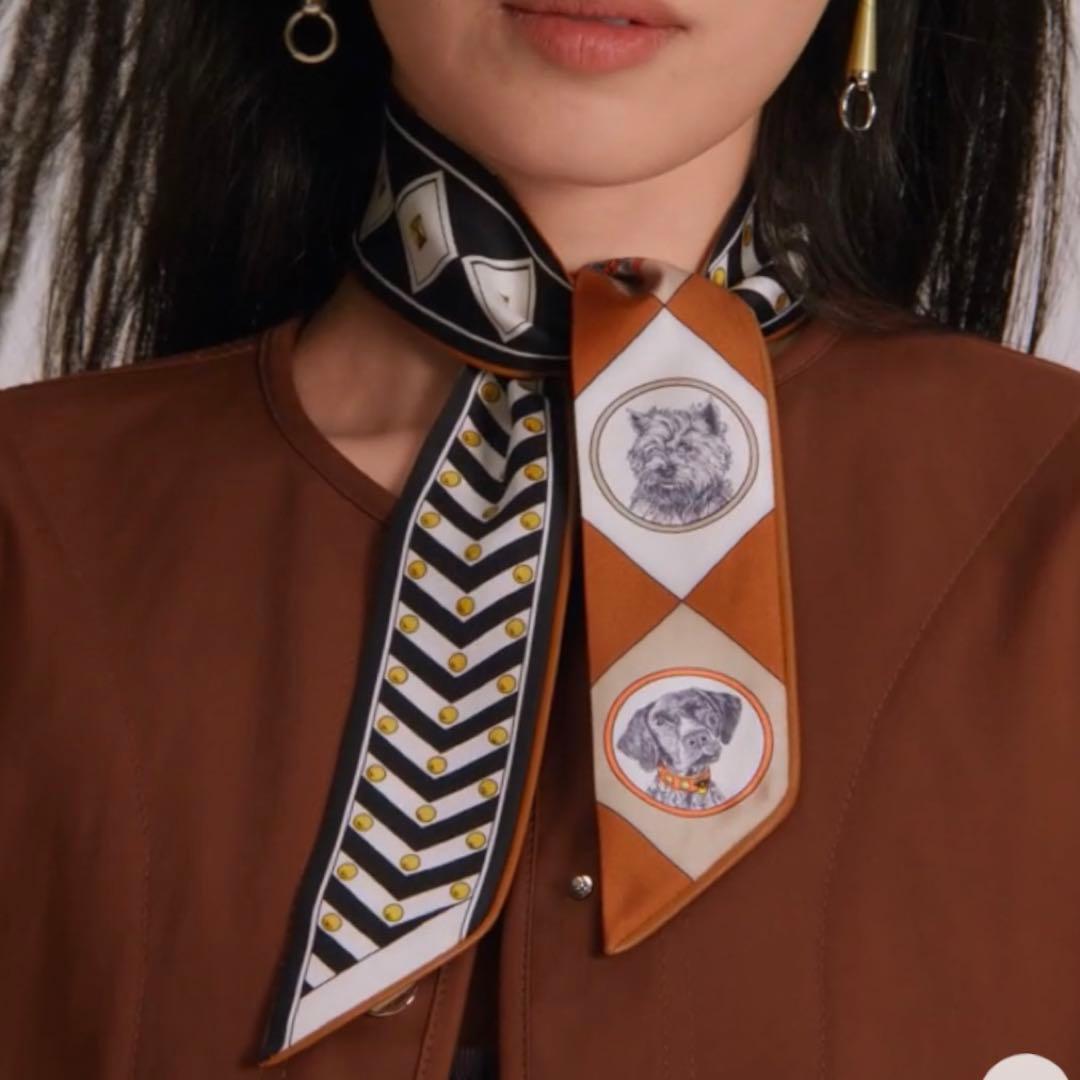 新品 HERMES エルメス ツイリー コリエ・エ・シアン ブラウン レザー