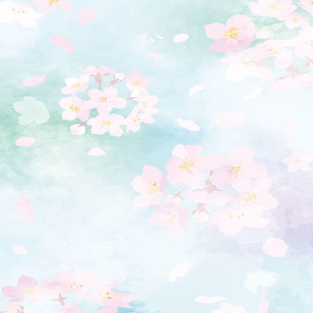 McCoyマッコイ トップスキン 全身スキンケア ローション300ml（2点） McCoy（マッコイ） トップスキン 300ml 2個セット 全身スキンケア