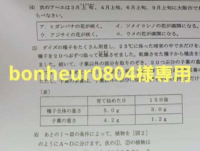 語学・辞書・学習参考書 bonheur0804 語学・辞書・学習参考書 bonheur0804 語学・辞書・学習参考書 noz 語学