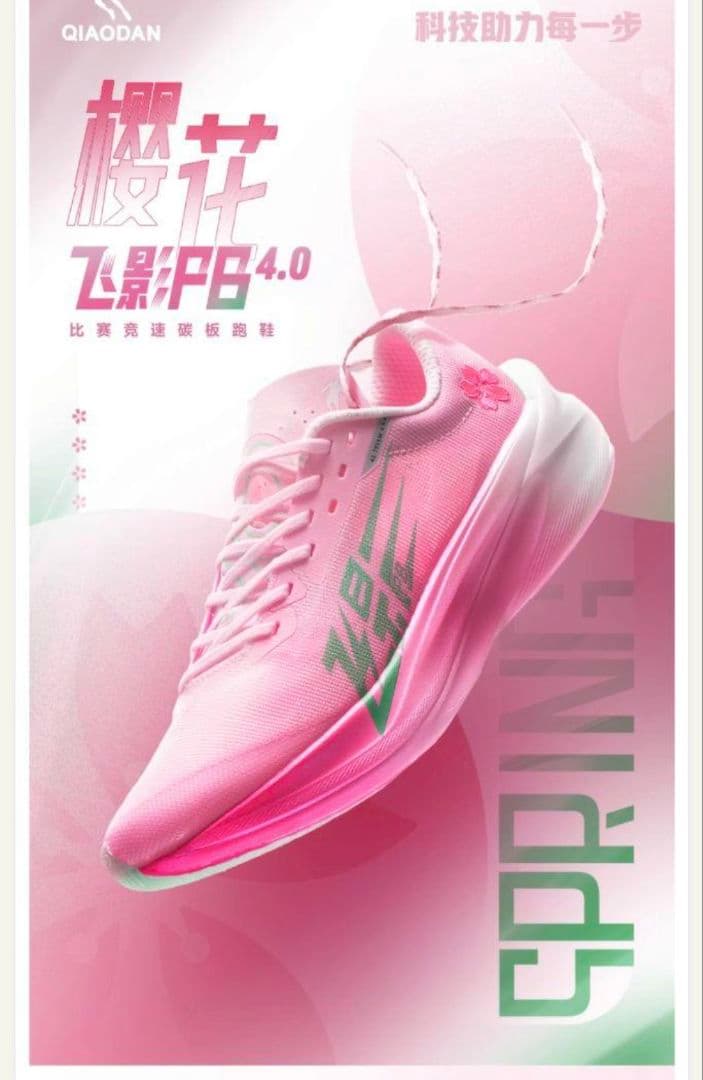 QIAODAN FEIYING PB4　 29.0cm　飞影PB4