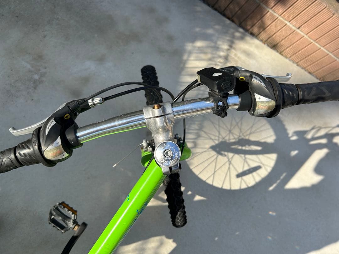 LOUIS GARNEAU ジュニアマウンテンバイク グリーン J22(手渡し)