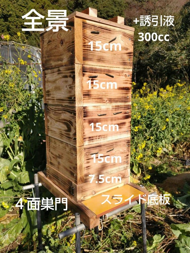 日本蜜蜂 重箱式巣箱 スライド底板 説明書有 スムシ対策万全 +誘引液