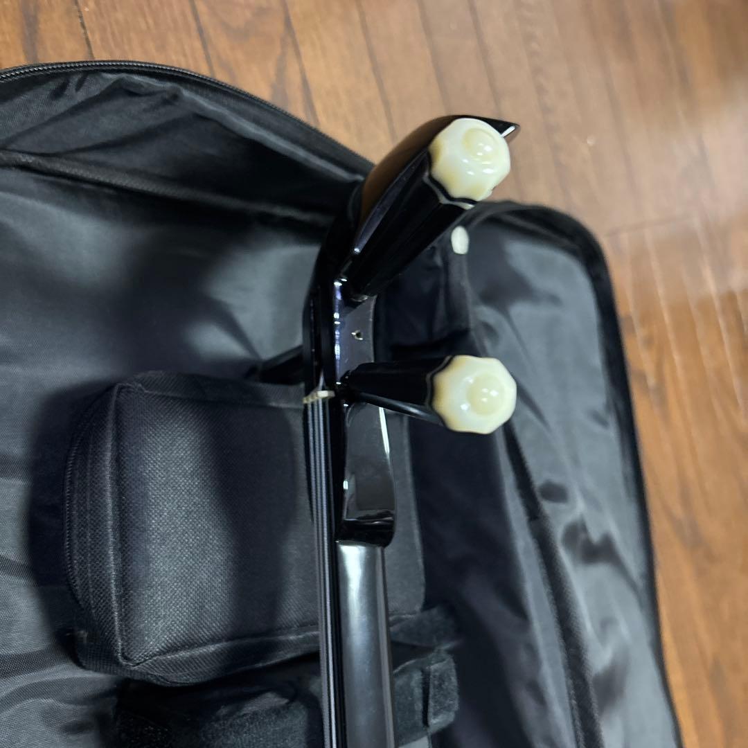 三線 沖縄三線 ケース付き ジャンク渡し