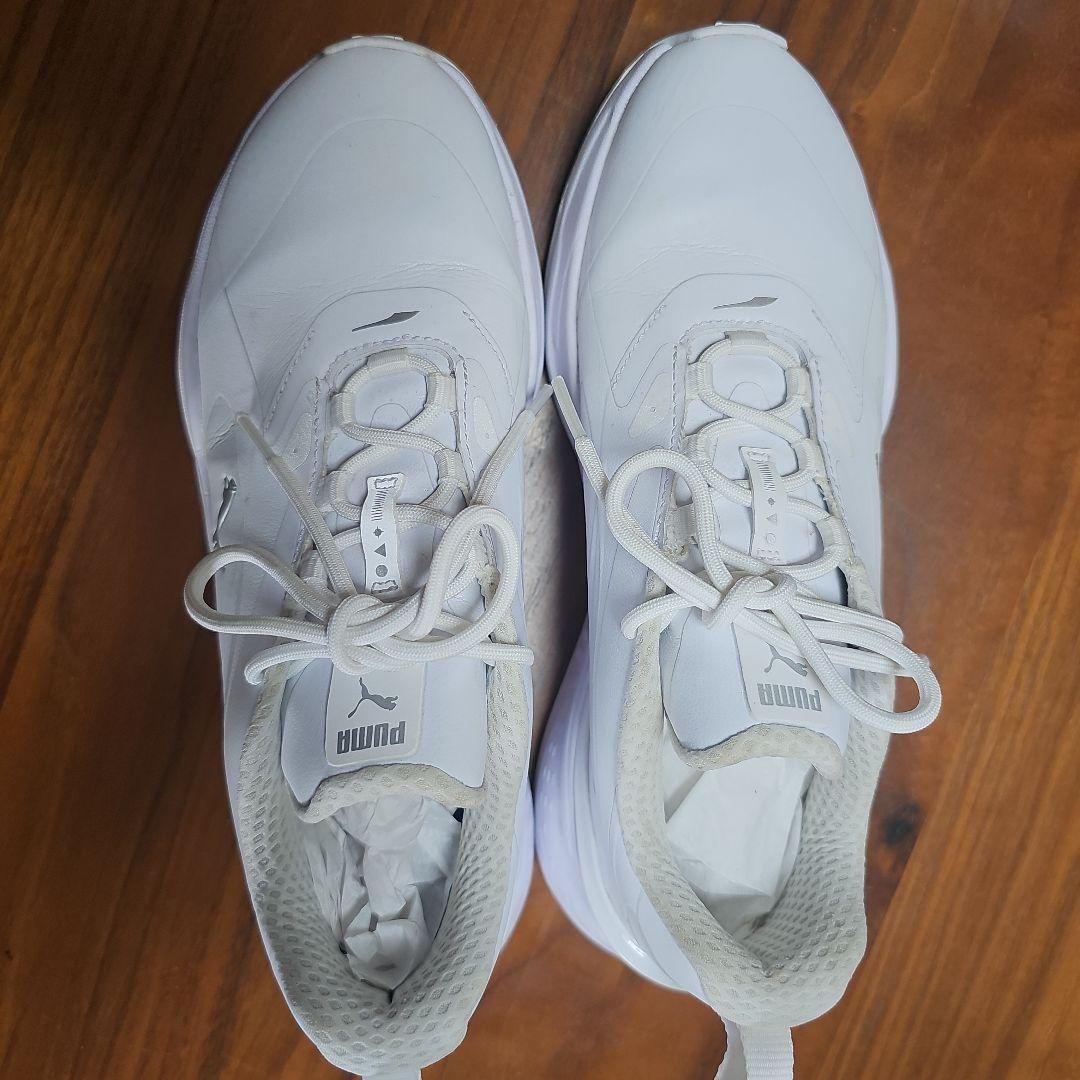 PUMA ゴルフシューズ 24.5cm