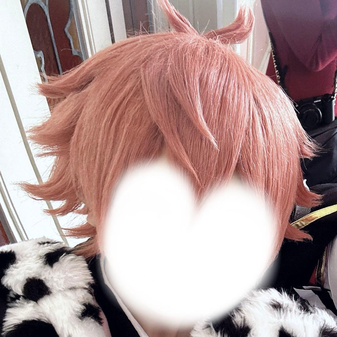 エース・トラッポラ コスプレ ウィッグ - メルカリ