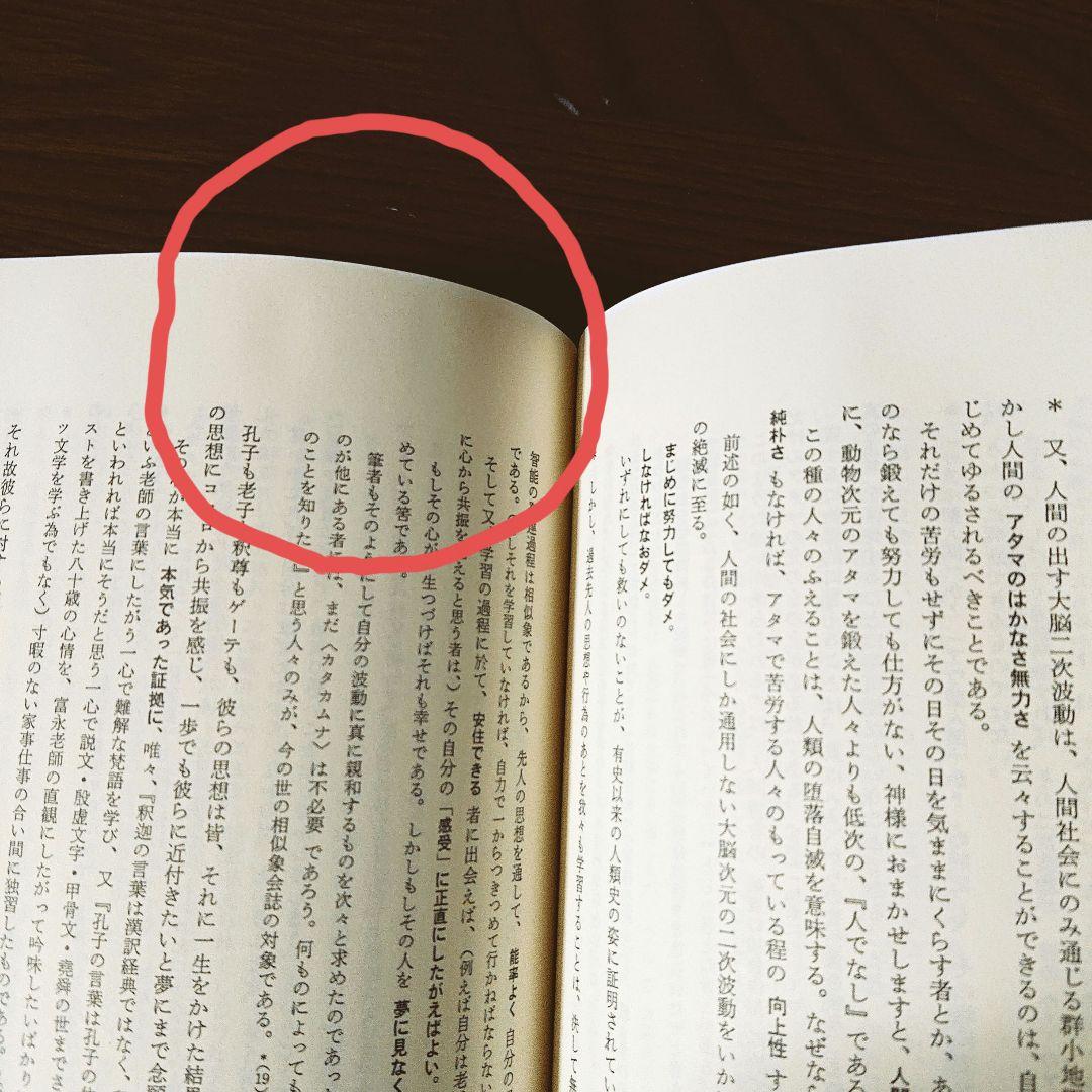 相似象学会誌 第十号