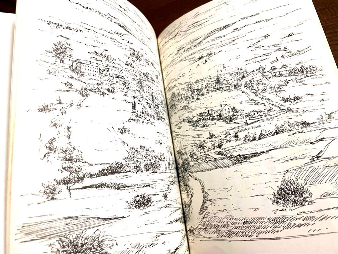 【絶版希少】アイリーンのとうろう　柴田克子 永井吐