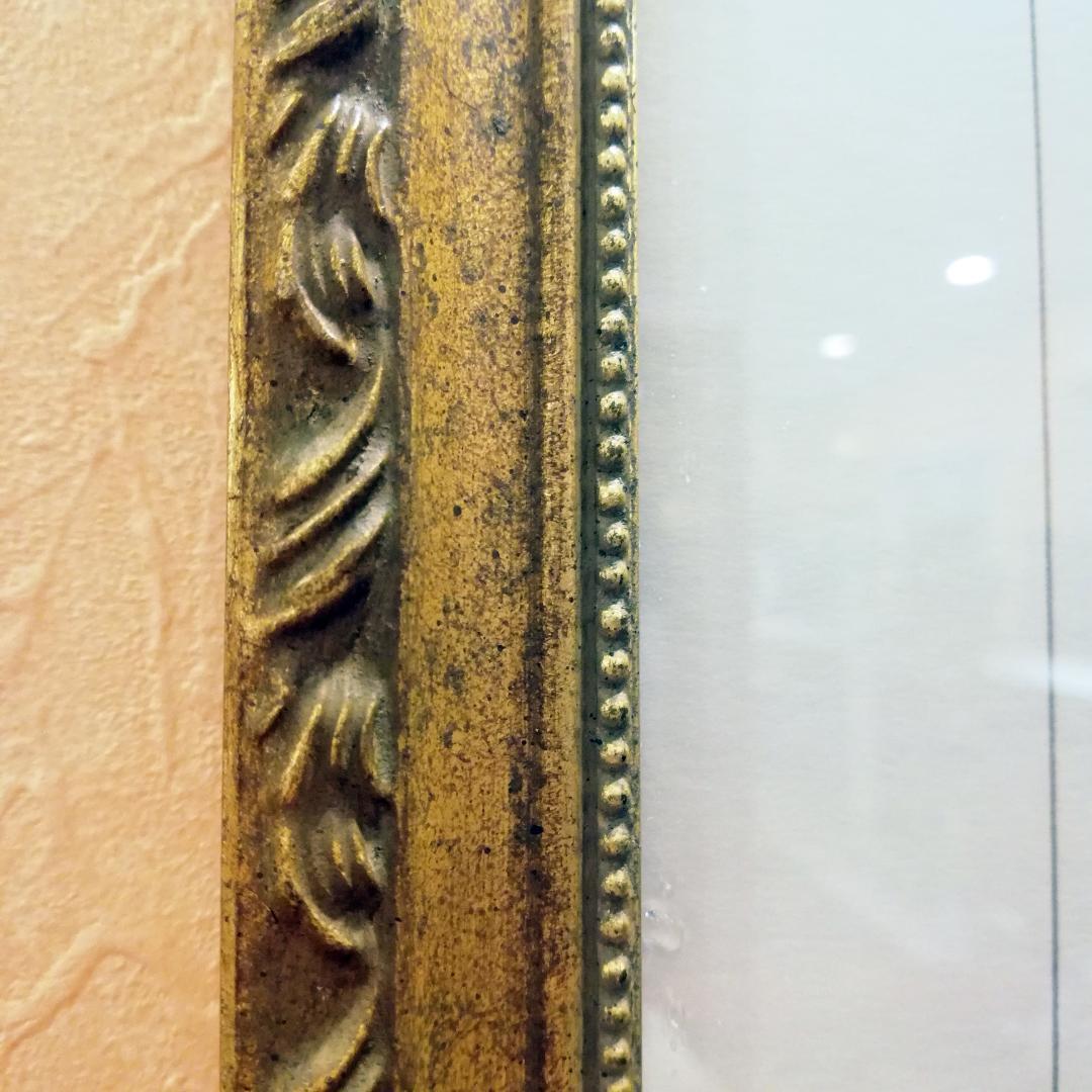 ◇P.J.Redoute　H.HAL CHICAGO KRAMER　薔薇　絵画