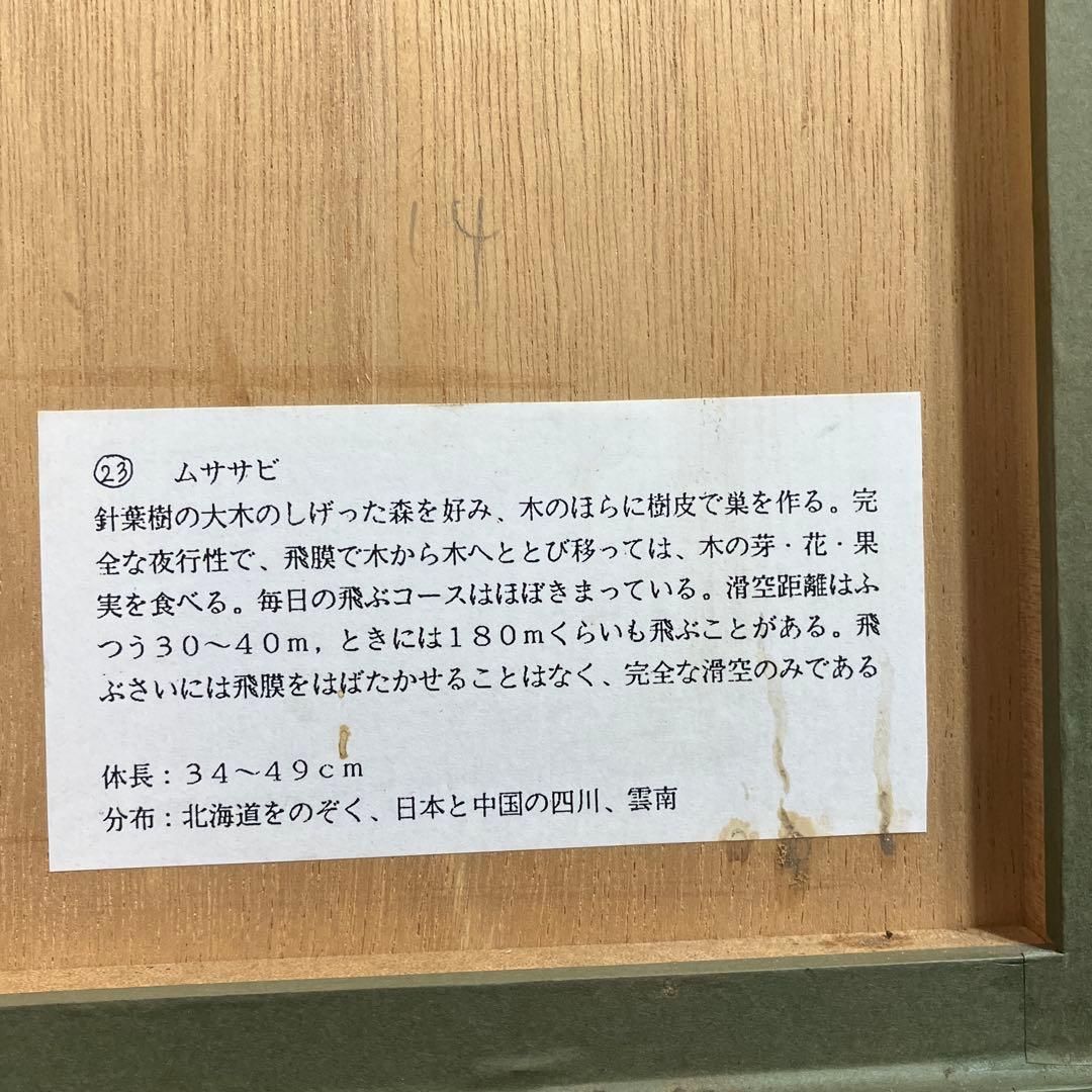 木版画　赤祖父ユリ　「ムササビ」