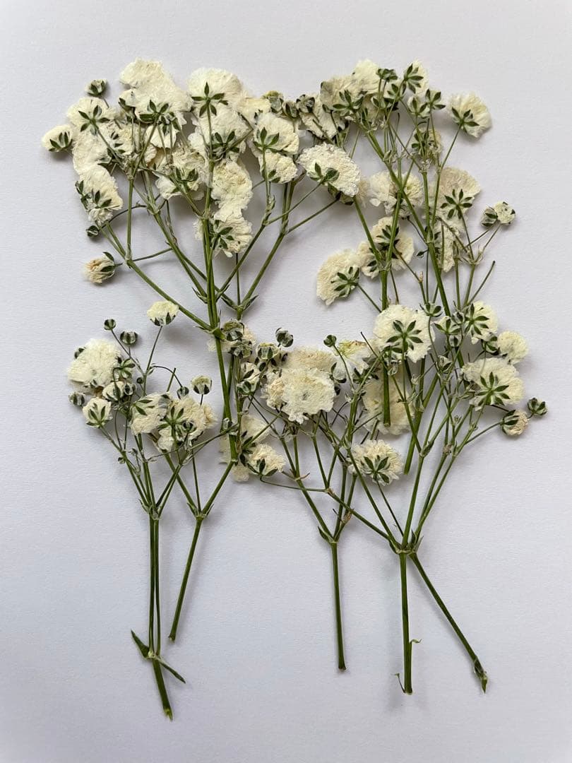 etoile様 リクエスト 3点 まとめ商品 - メルカリ