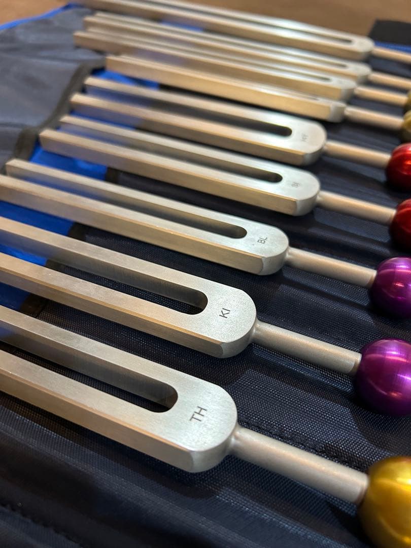 アラン・セールス 経絡音叉14本セット リラクゼーション