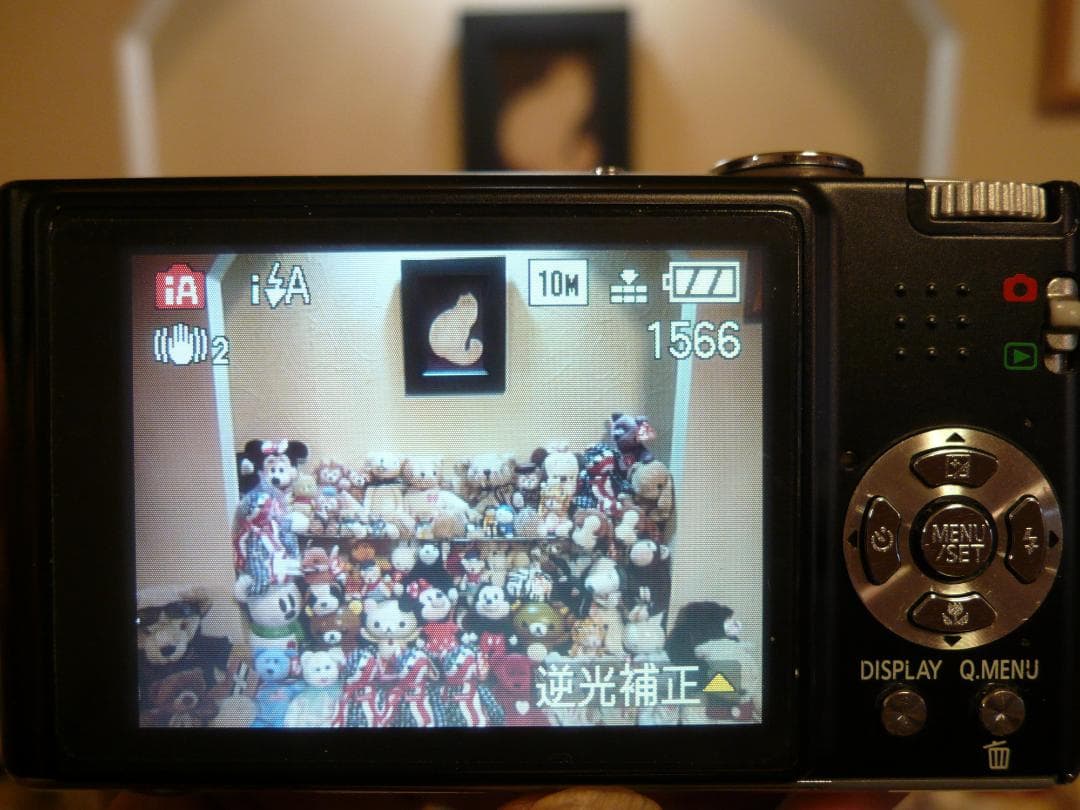 LUMIX☆DMC-FX35⚠️必読有⭕️安心の実働品☆光学4倍