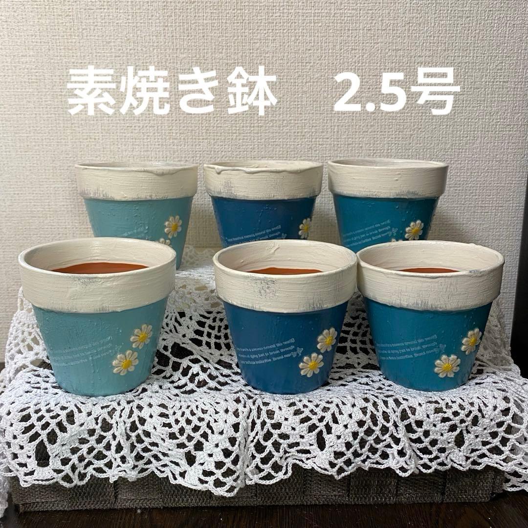 リメイク鉢 2.5号鉢6個 - メルカリ