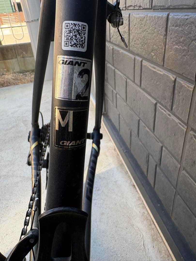 GIANT TCR SL2 (2018)本体(送料込み) 卸売 通販