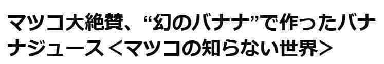 驚愕。251㎝巨大苗★ドワーフマッサンバナナ◆高糖度。耐寒性強く初心者も栽培容易