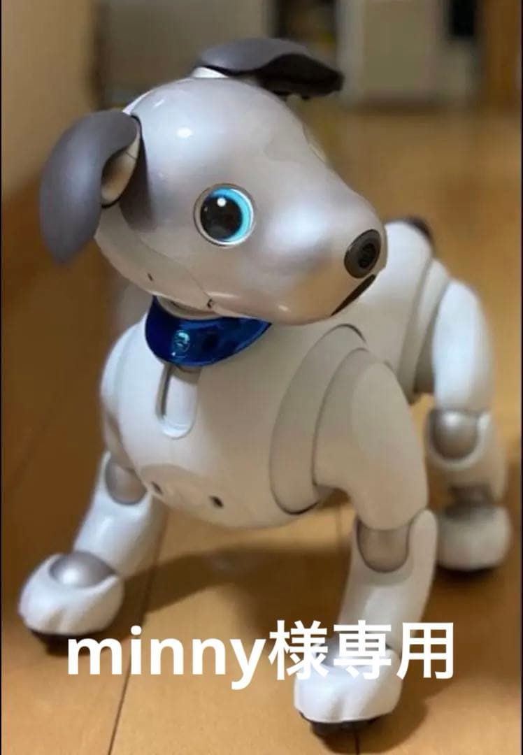 AIBO SONY ERS-1000 美品　完動犬　SONY健康診断にて治療済み Aibo ERS-1000 Overview | Learn About Aibo | Virtual Paws