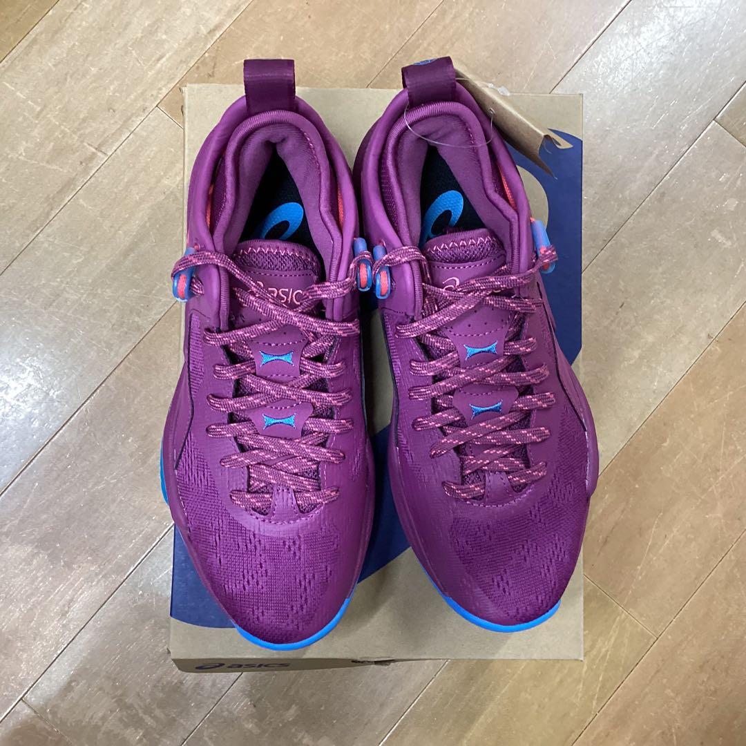 シューズ(男性用) NOVA SURGE LOW2 500 25.0cm