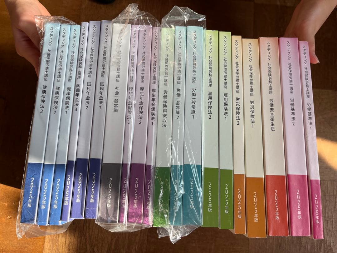 スタディング 社会保険労務士 2025年度版全巻 スタディング社労士2025