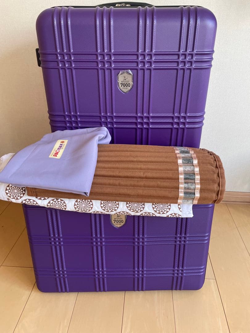 リッチウェイバイオマットBIOMAT 7000 MX リラクゼーションマット