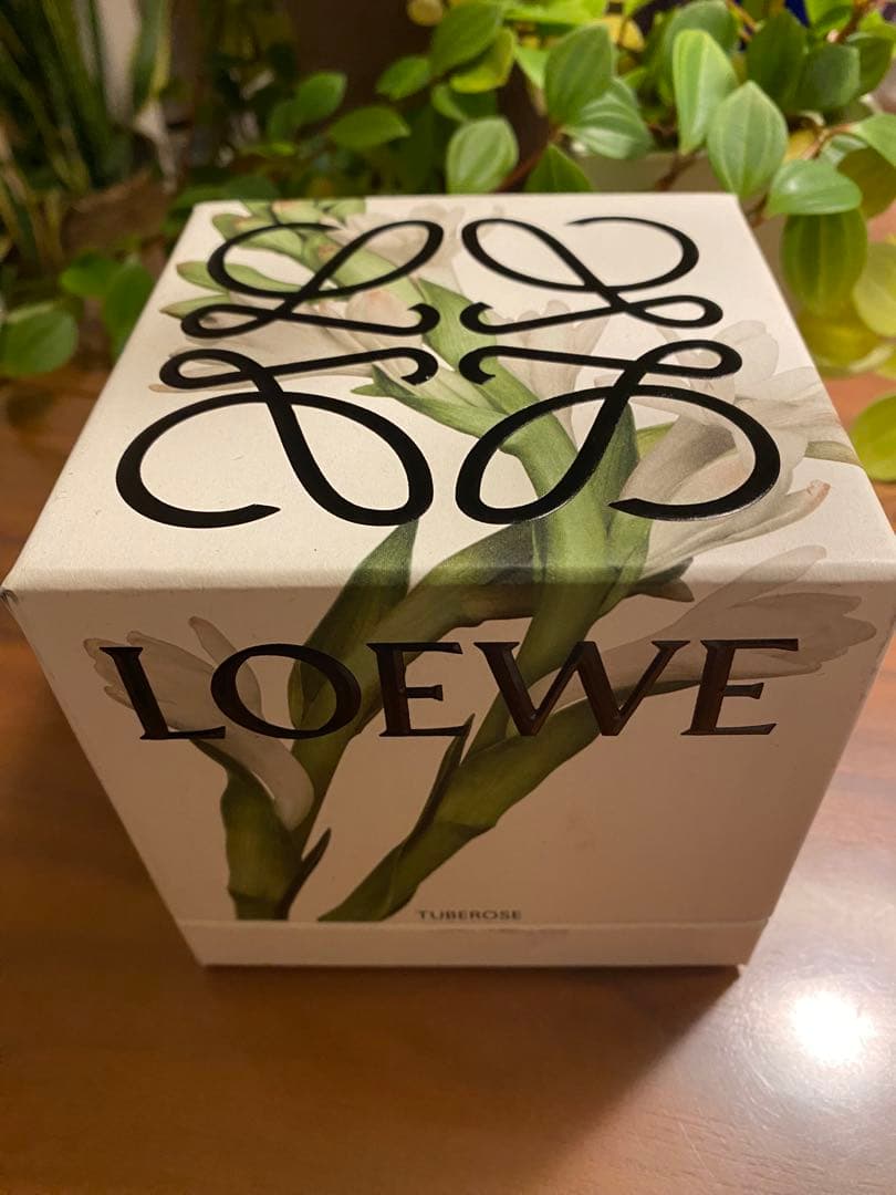 新品未使用】LEWE ロエベフレグランスキャンドル チューべローズS 170g