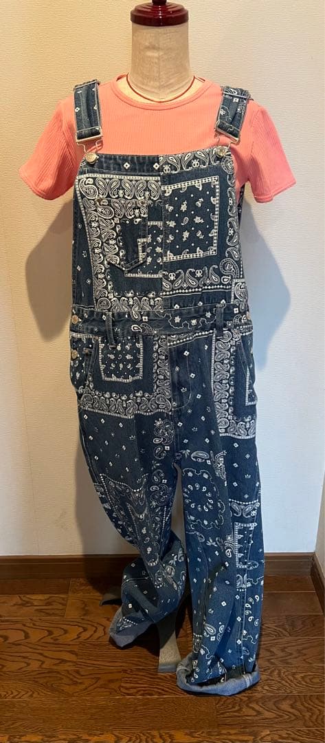 LiSA ROY reflect overjoy総柄デニムオーバーオール(S)