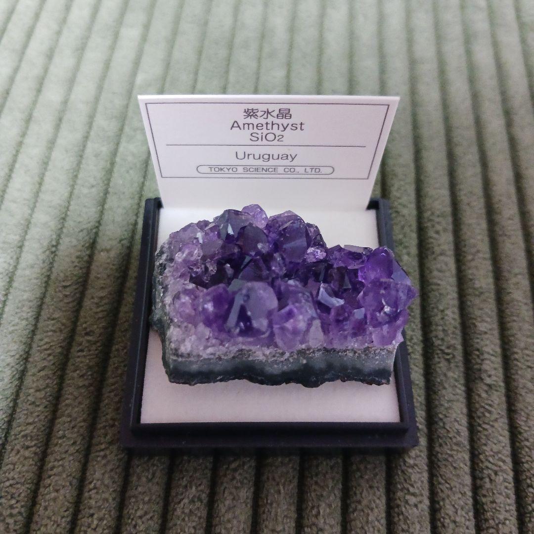 東京サイエンス ミニ鉱物標本 ウルグアイ産 紫水晶 アメジスト - メルカリ
