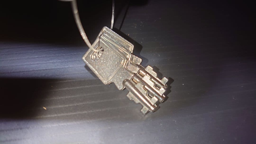 高嶋ちさ子直筆サイン入り】BAM(バム) バイオリンケース 2002XLB