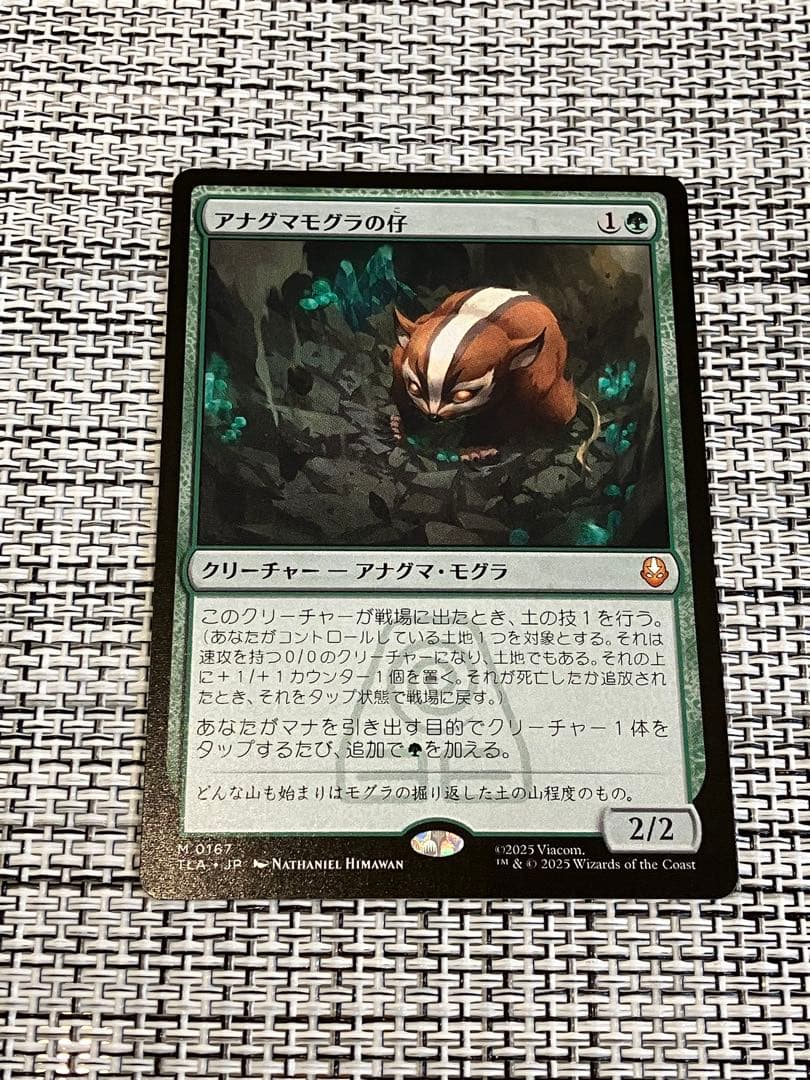 アナグマモグラの仔 英語 4枚セット アナグマモグラの仔⁄Badgermole