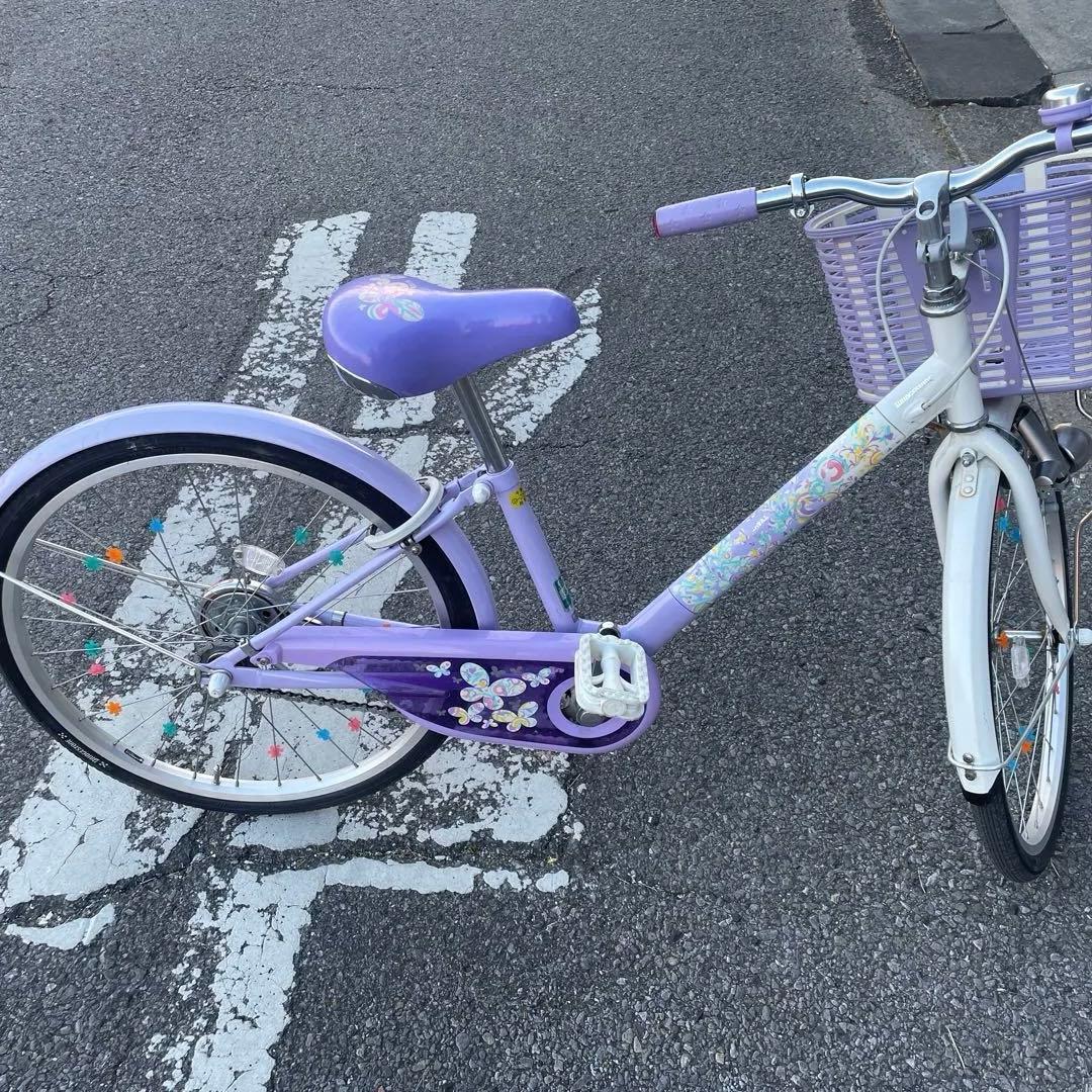 ブリヂストン 子供用自転車 紫 BRIDGESTONE（ブリヂストン） こども用自転車 22インチ エコパル