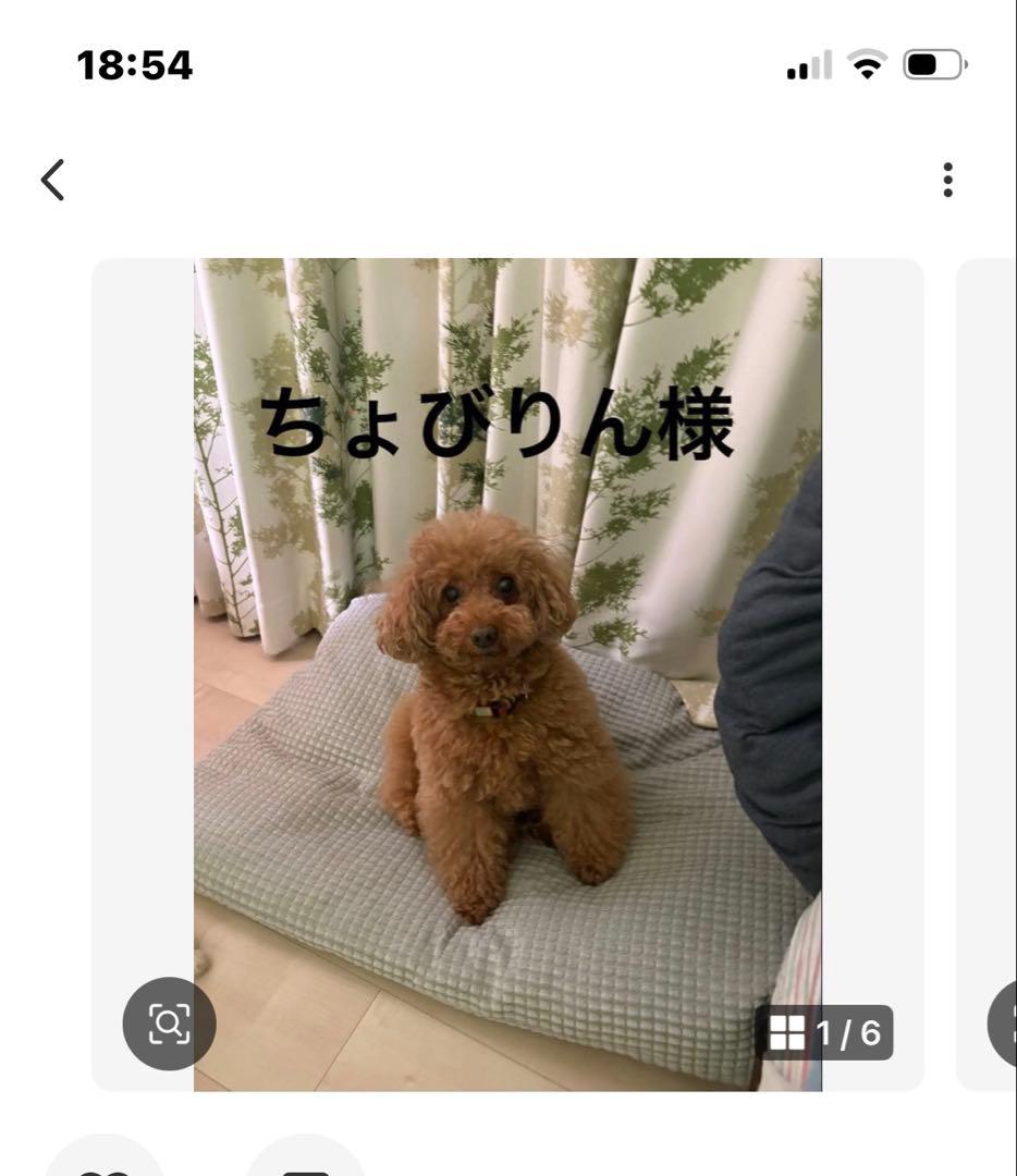 ゆみみゆりん様専用ゴルフボールケース