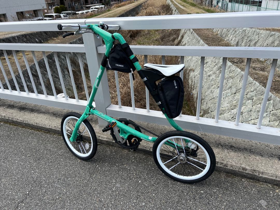 18インチ STRIDA SX カスタム ミント ストライダ - メルカリ