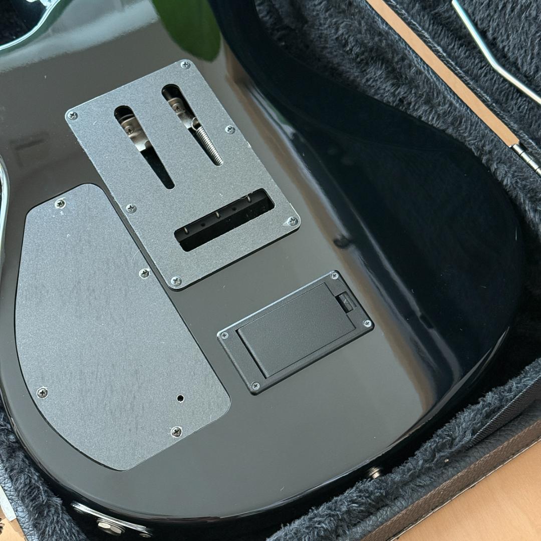 Fernandes APG-DLX JPC フルモードサスティナー 24フレット - メルカリ