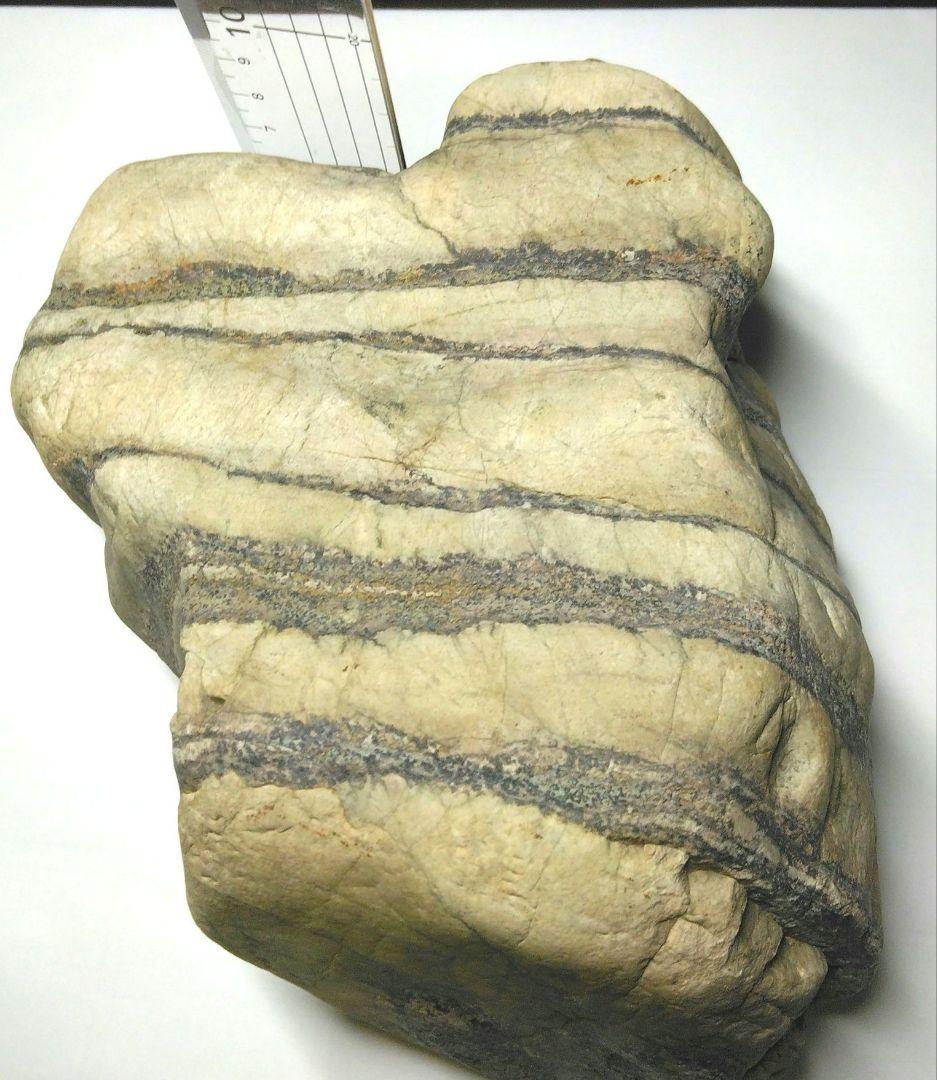 存在感抜群！天然 虎石風 飾り石 4.6kg｜縞模様 美石・鑑賞石・置物